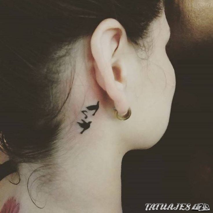 tatuaje de pájaros detrás de las orejas