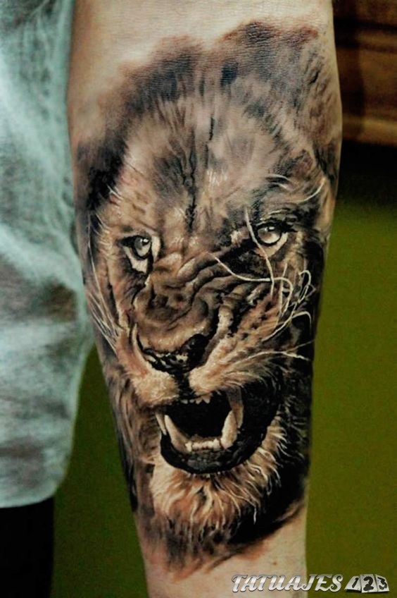tatuaje león brazo realista