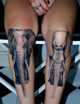 Elefante y esqueleto