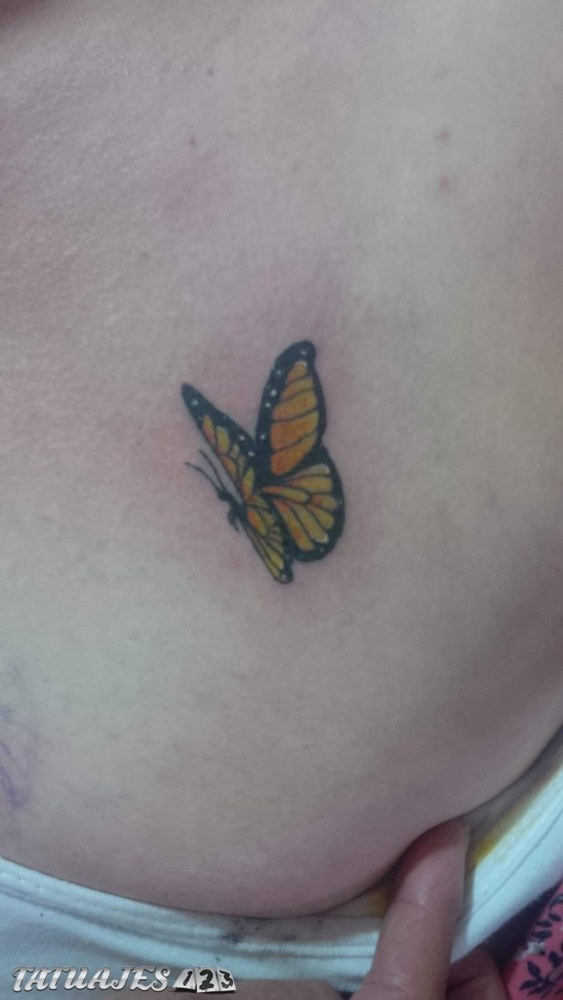 Mariposa pequeña en la espalda - Tatuajes 123