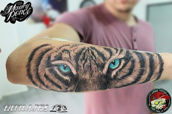 Tattoo tigre