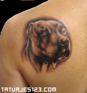 Tatuaje de perro de raza pittbull